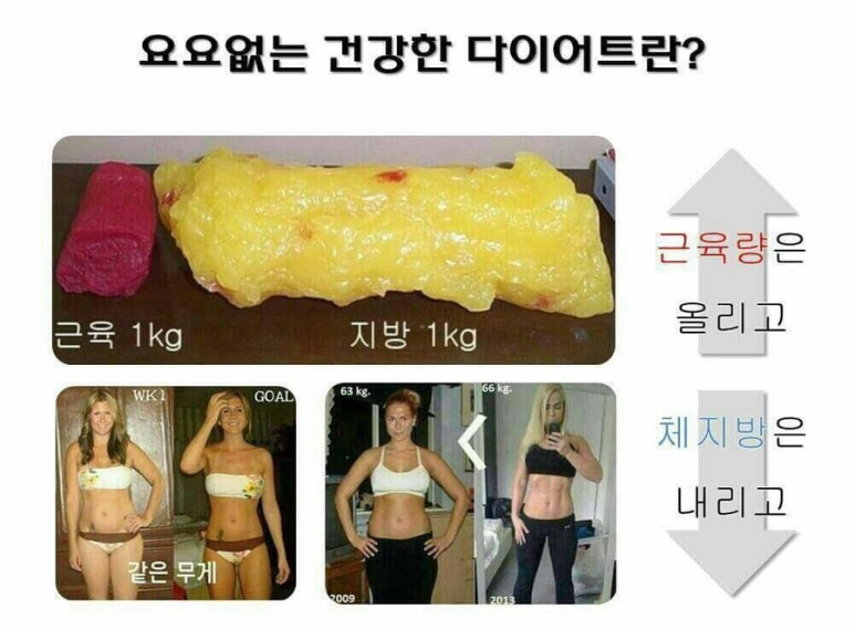 키즈고 점핑클럽 이미지