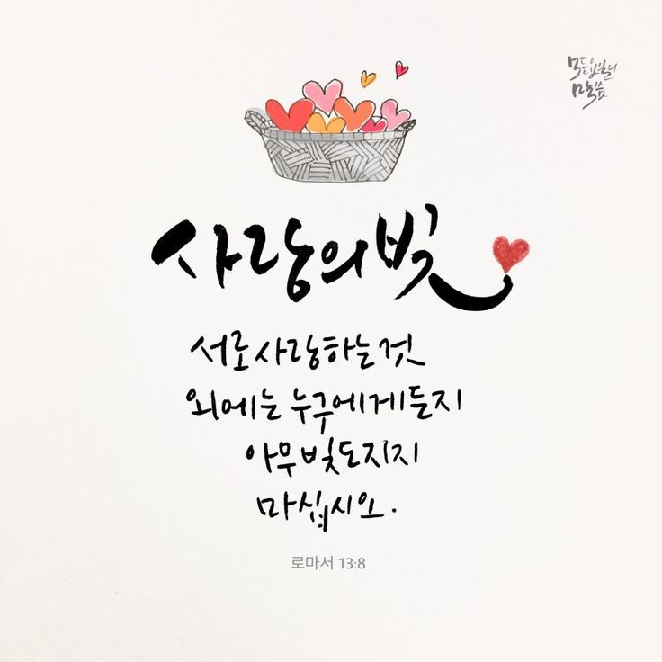 오늘의그릇 이미지