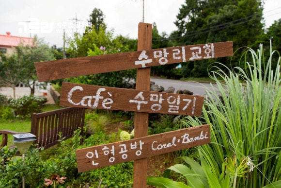 오소록제주 이미지