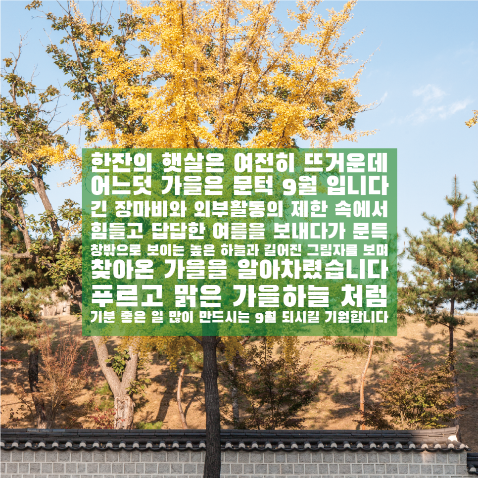 문구구름 이미지