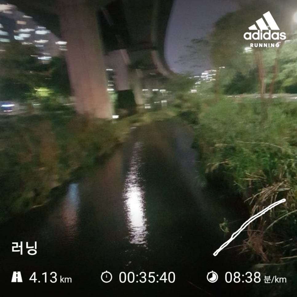 비바비차 이미지