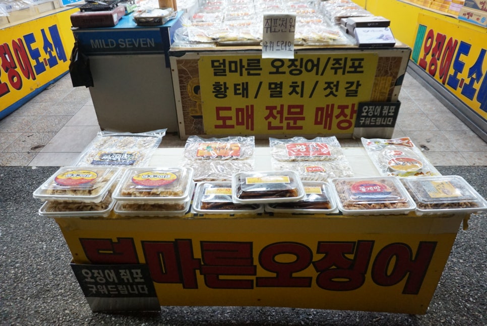 경포배오징어 이미지