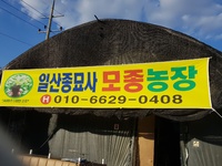 일산종묘사 이미지