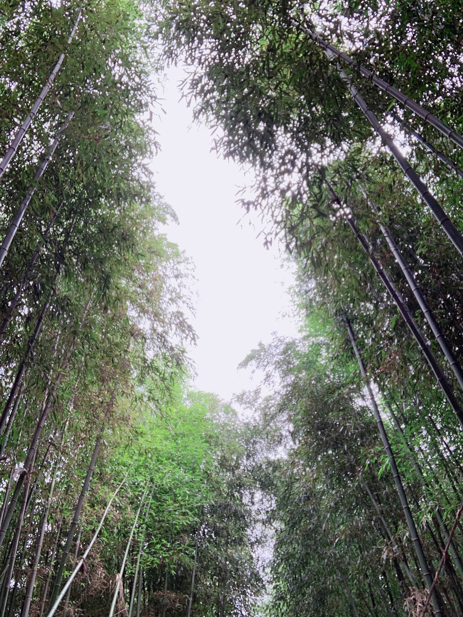 지리산 한우 직판장 이미지
