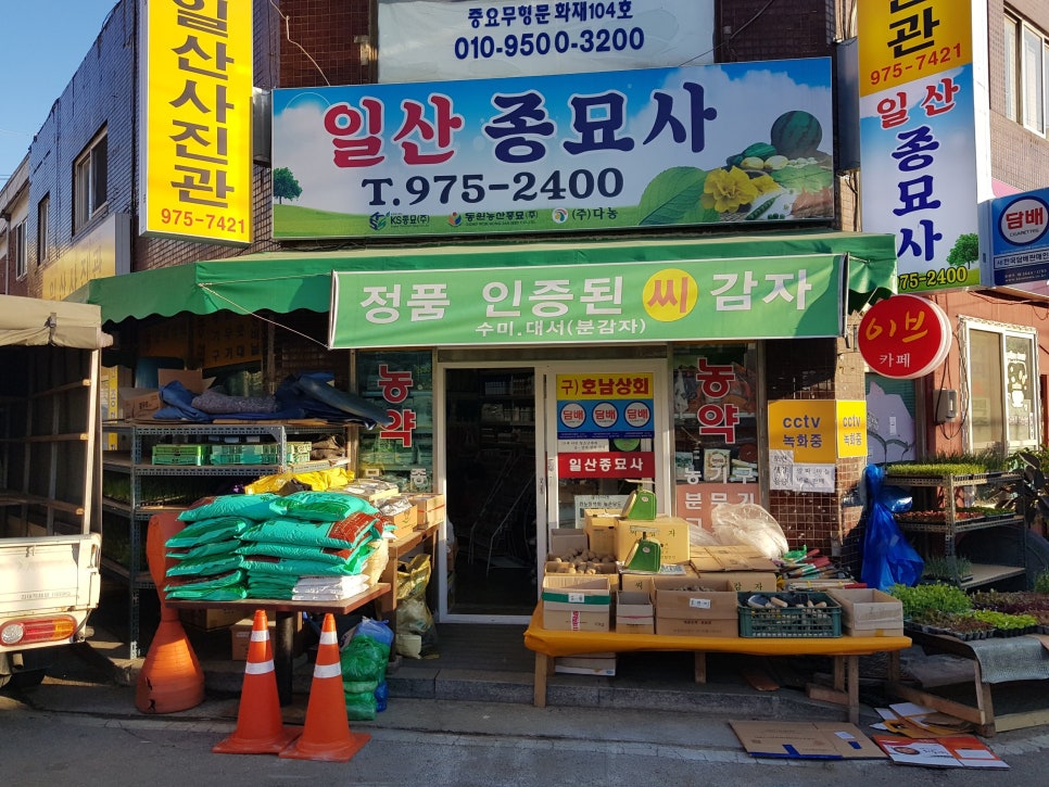 일산종묘사 이미지