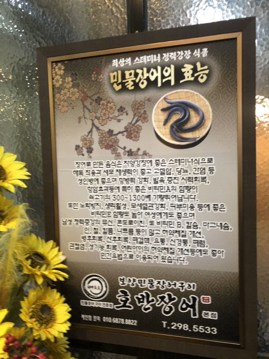 호반장어 이미지