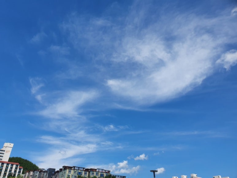 비바비차 이미지