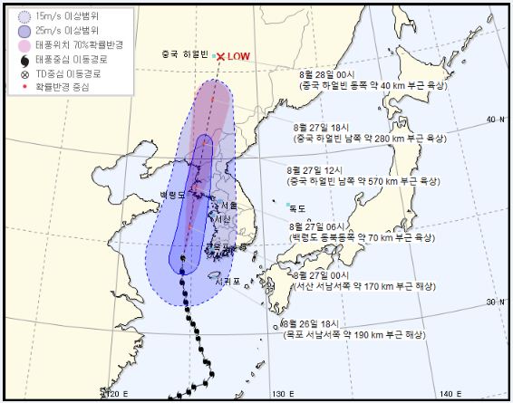 비바비차 이미지
