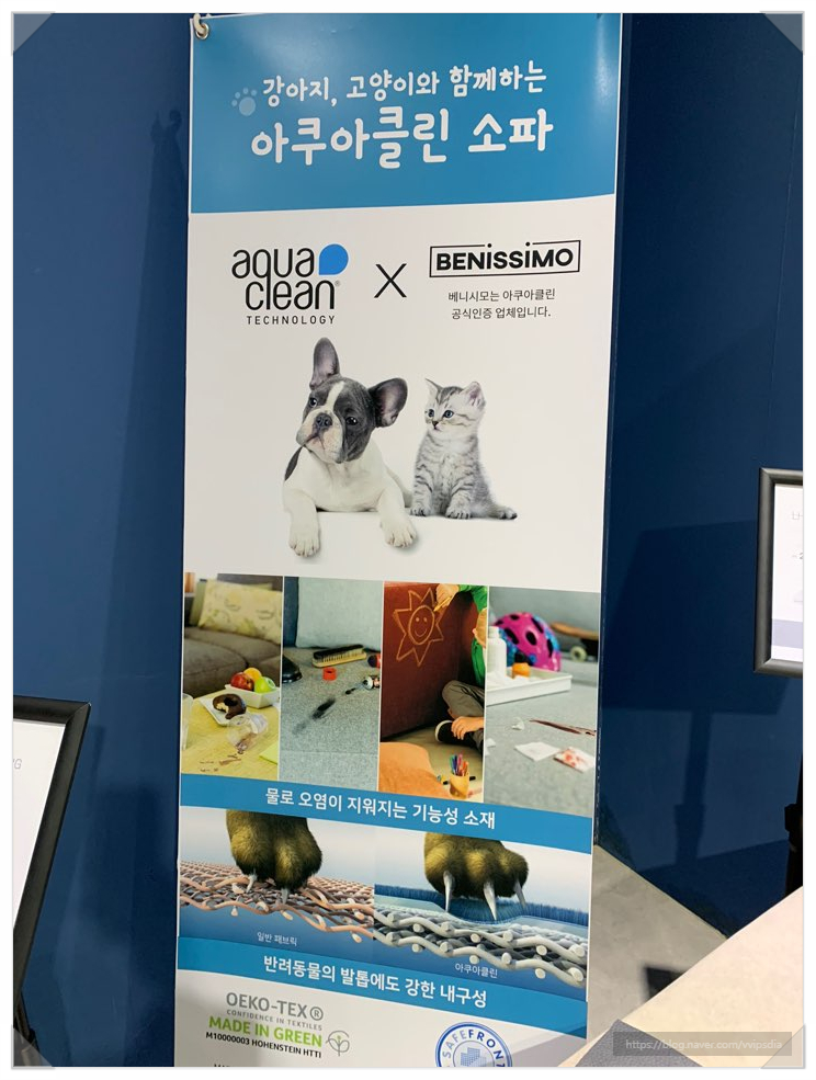 베니시모용인 이미지