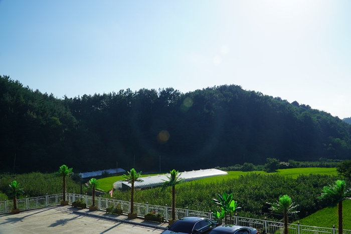 진주1987 이미지