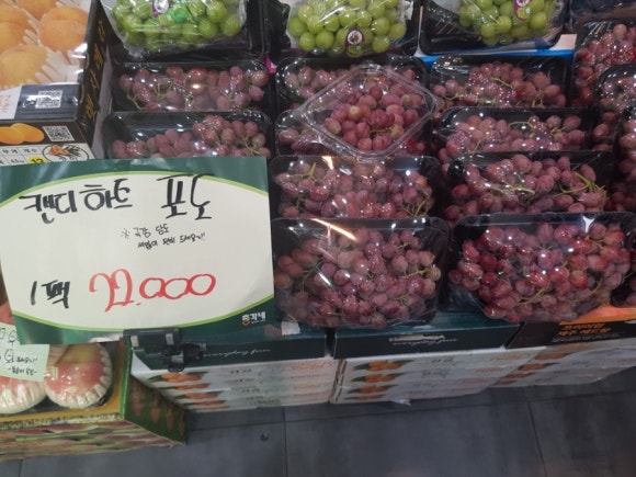 총각네수지 이미지