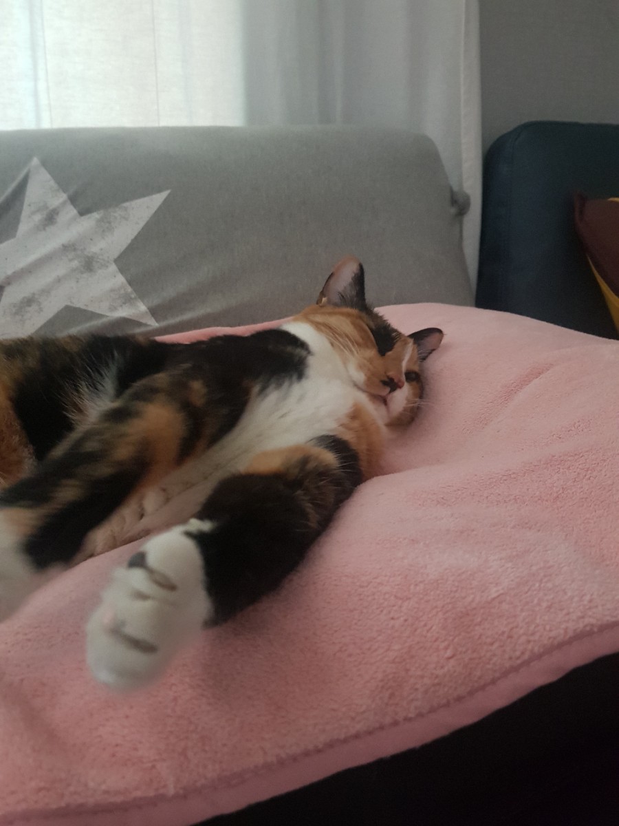 다와유통 이미지