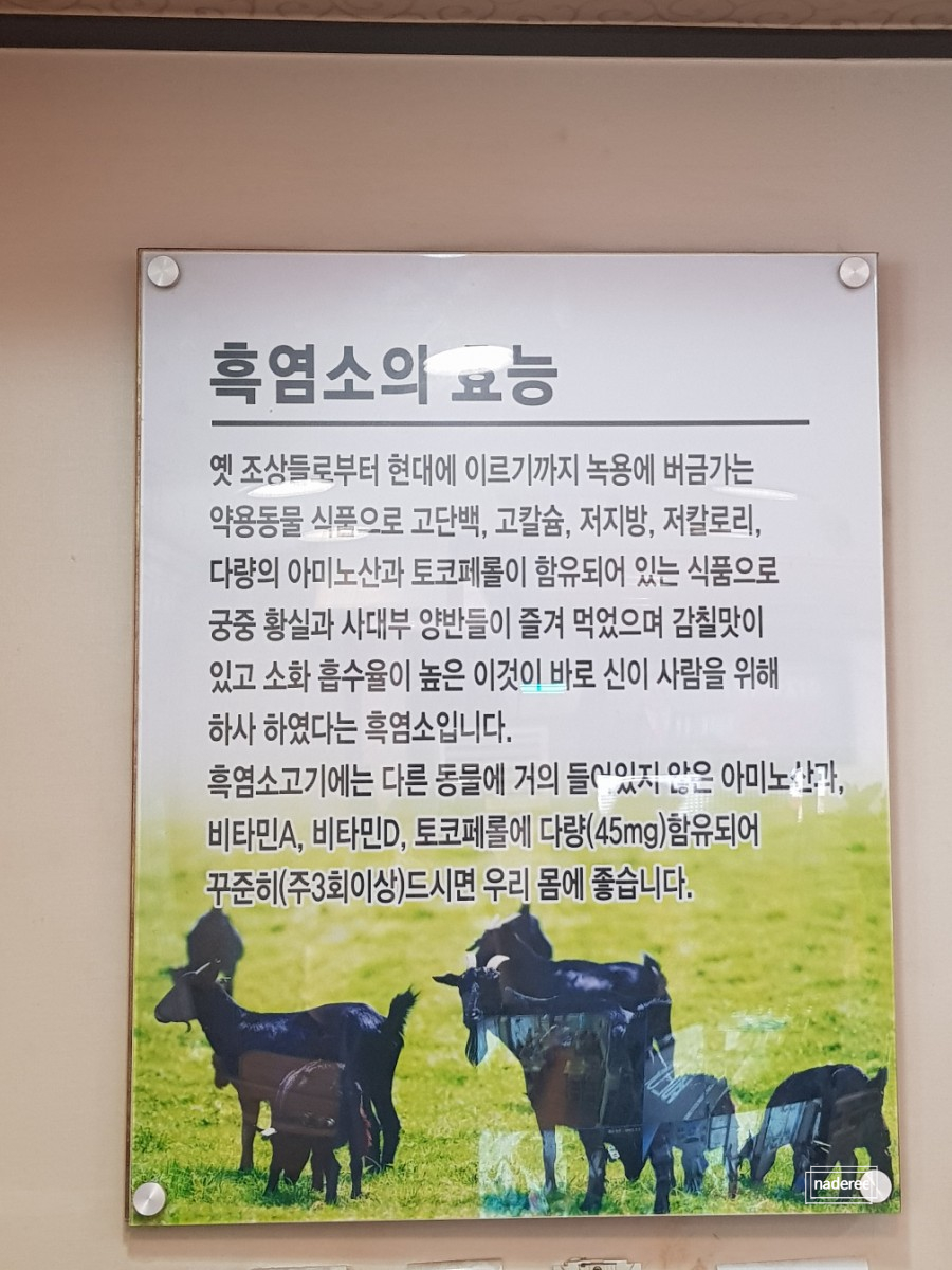 큰손생오리흑염소 이미지
