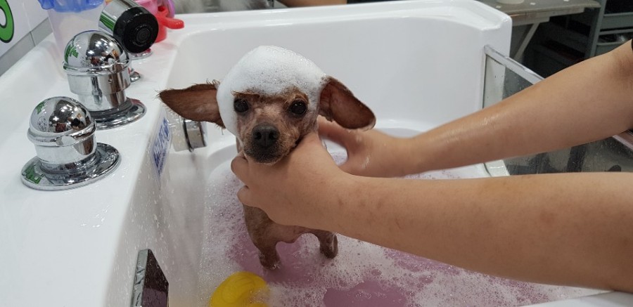버들미용실 이미지