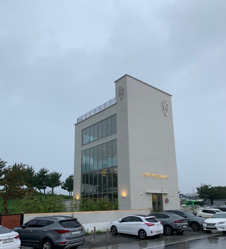담은순두부2 이미지