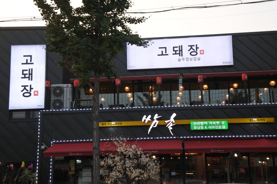 고돼장 이미지
