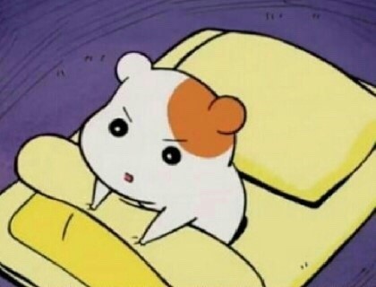 영앤리치선배 이미지