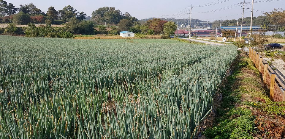 남여주IC 이미지