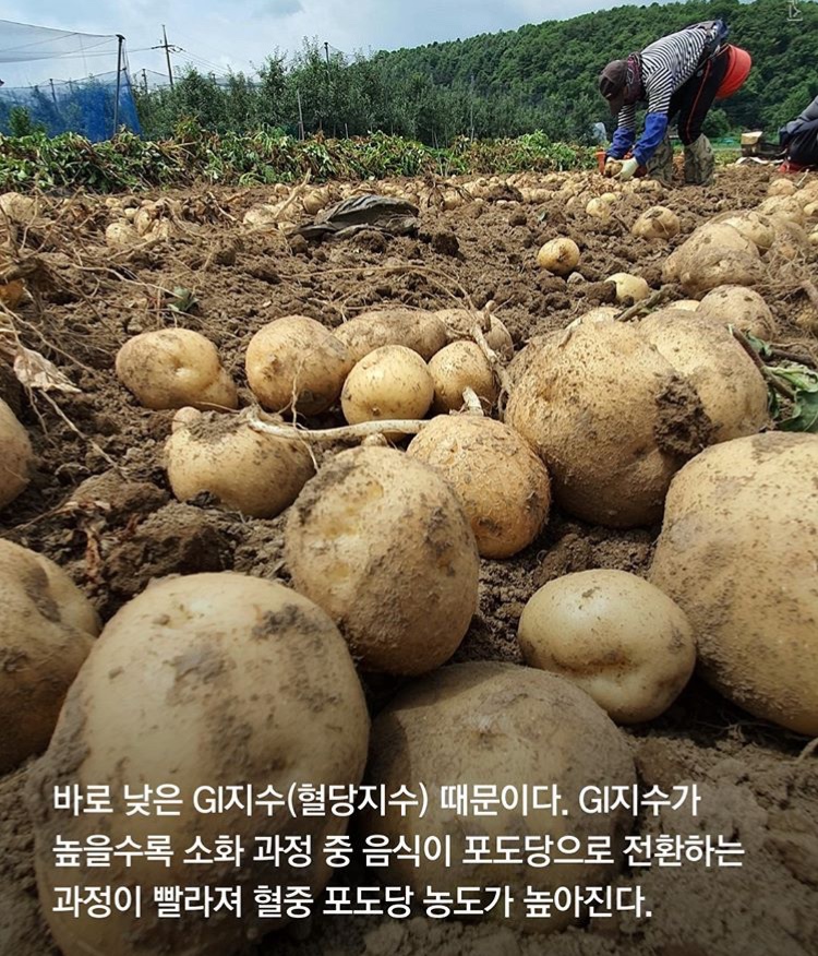 굿바디짐 이미지