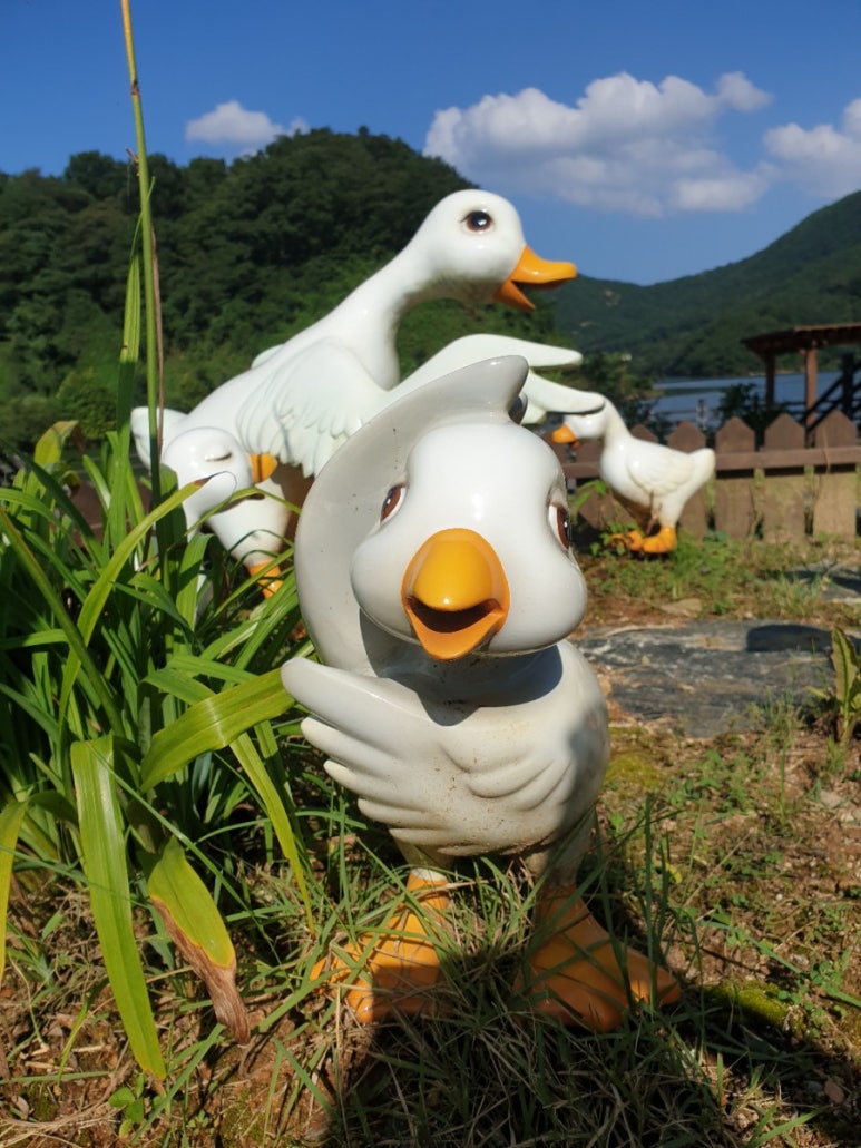 장찬리소나무갤러리 이미지