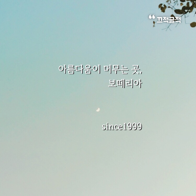 보떼리아 이미지