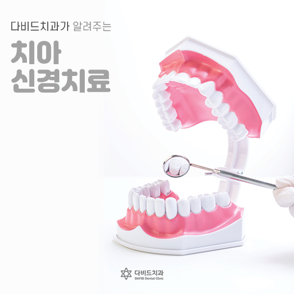 다비드치과 이미지