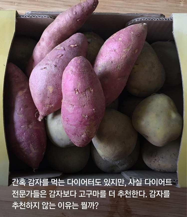 굿바디짐 이미지