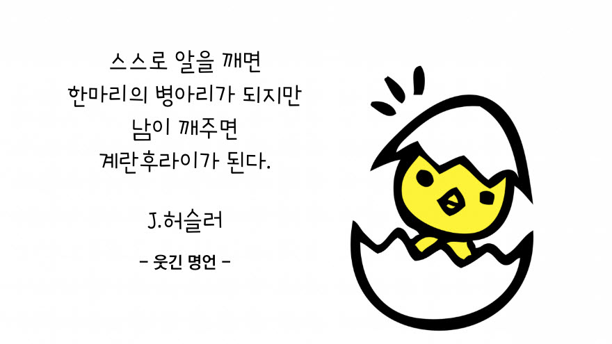 메가넥스트 이미지