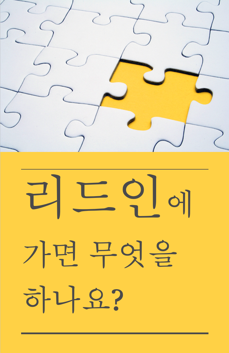 리드솔루션 이미지