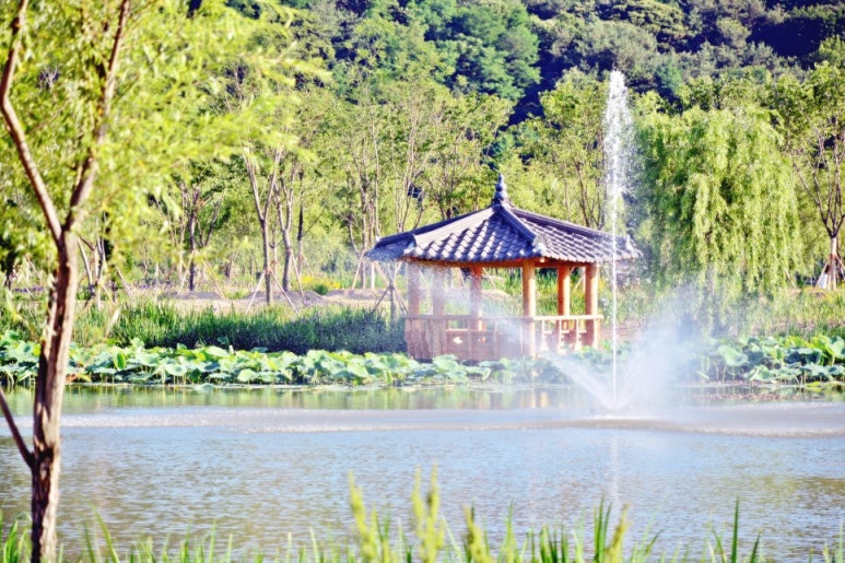 거창도시락 이미지
