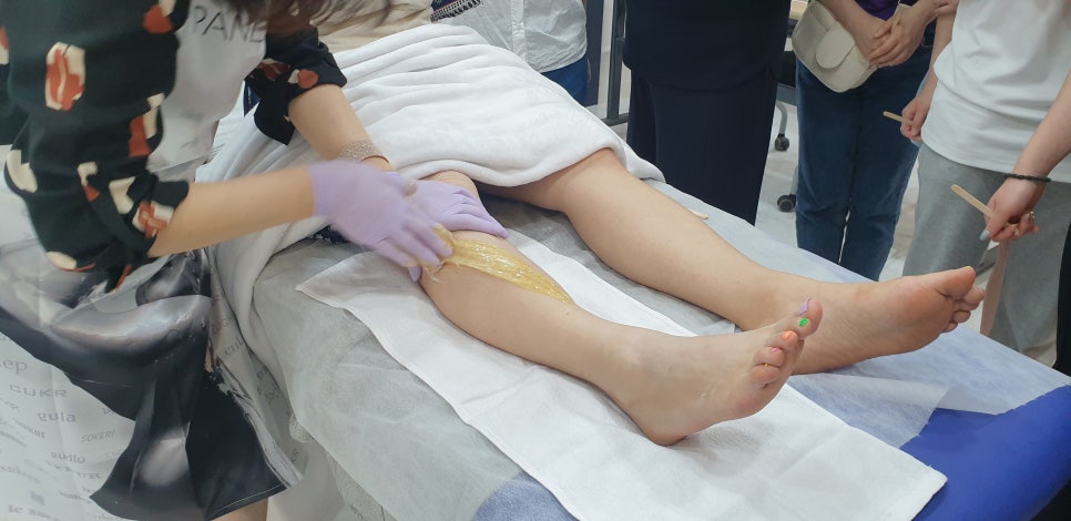 판디스 이미지
