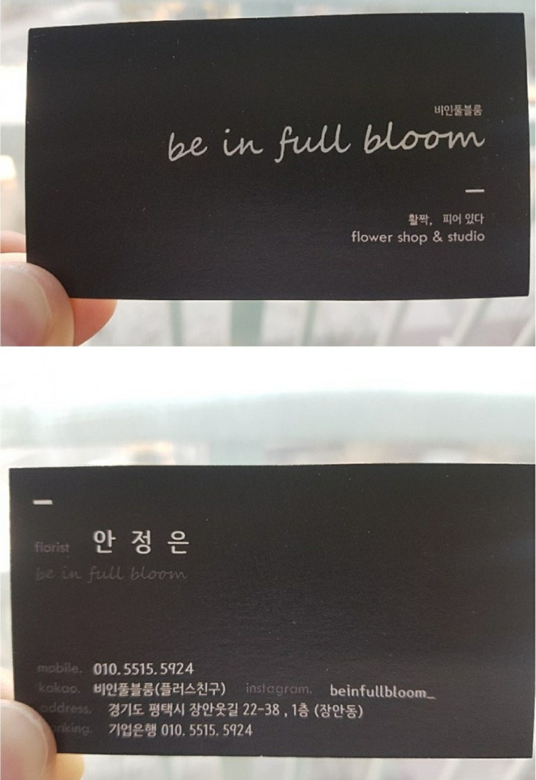 비인풀블룸 이미지