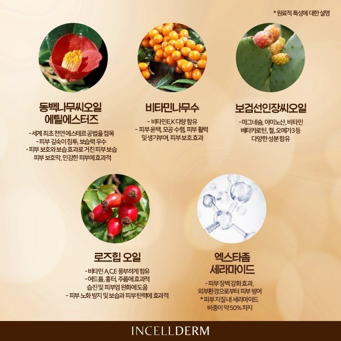 세계로 인셀덤 이미지