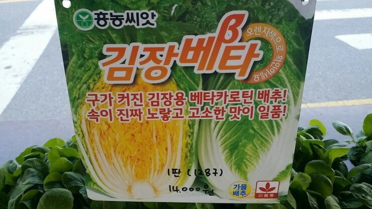 가평체험에듀팜 이미지