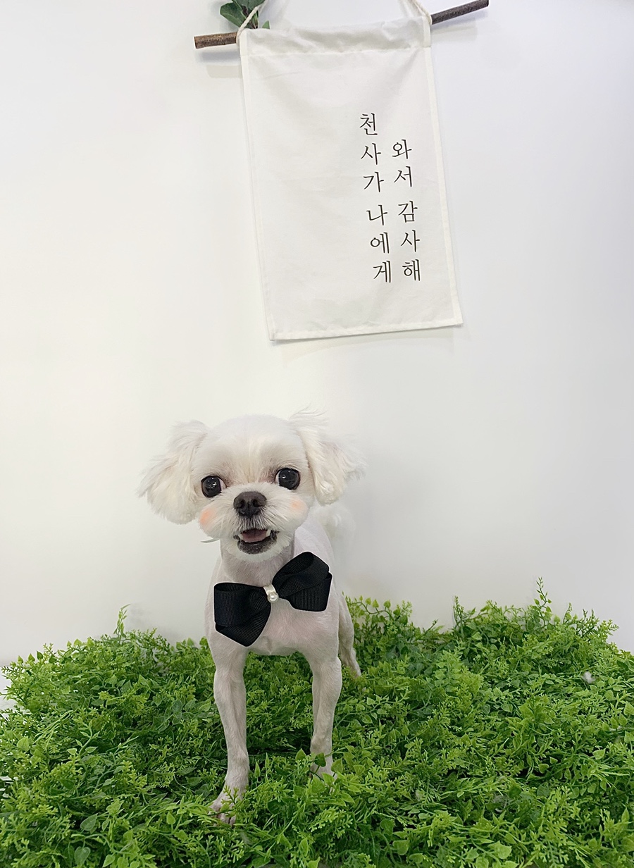 공주미장원 이미지