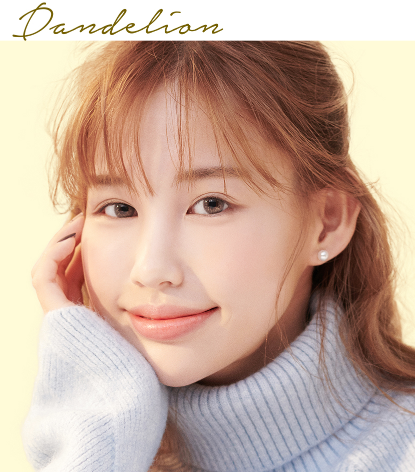 단델리온 이미지