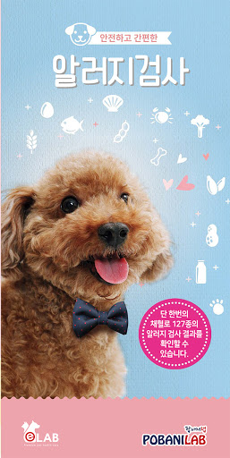 이루다제주 이미지