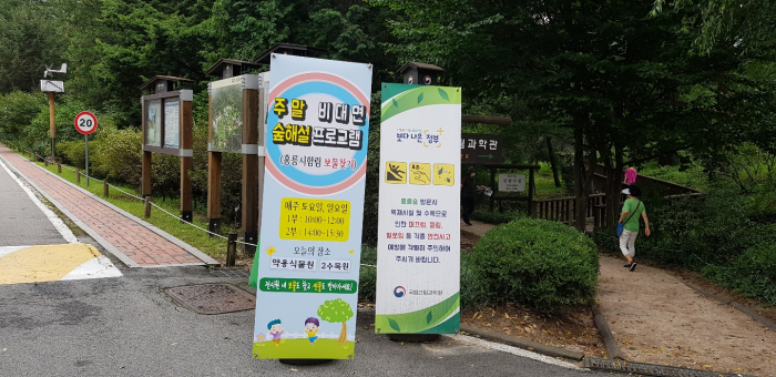 홍릉숲 이미지