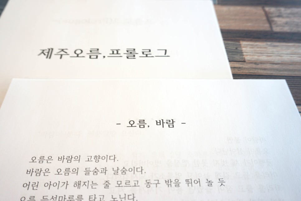 오름디자인기획 이미지