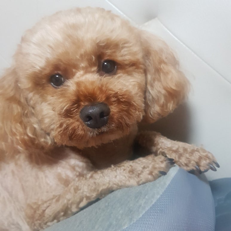 도계살롱 이미지