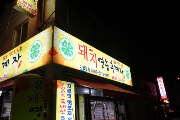 돼지영농후계자 이미지