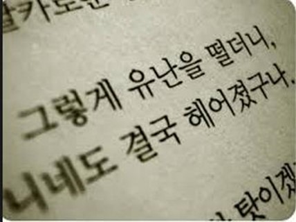 헬로비젼 이미지