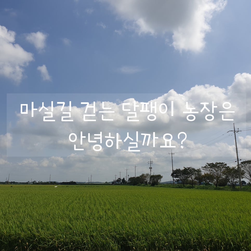 마실길 걷는 달팽이 농장 이미지