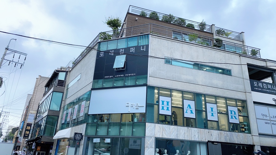 디하문바이공주 이미지