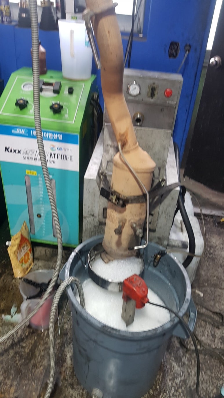 카데렐라 이미지
