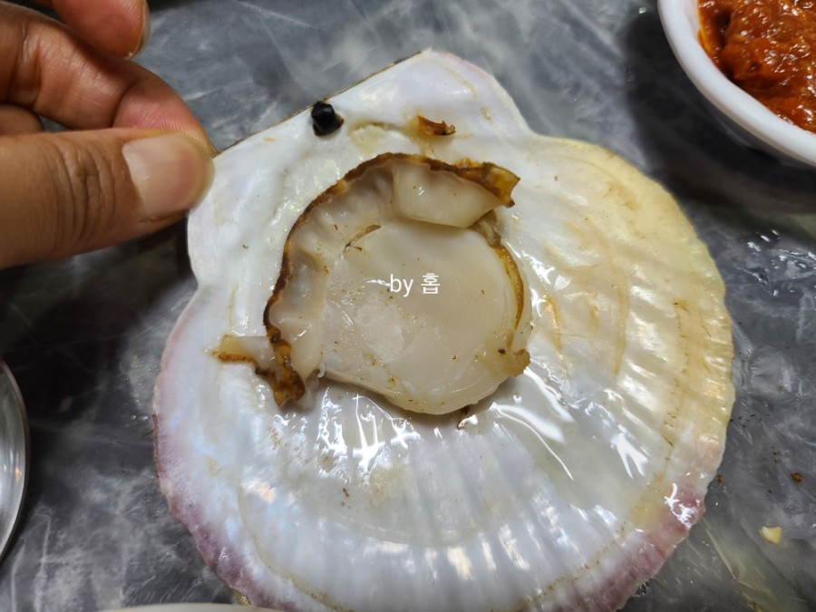 막썰어회도매센타 이미지