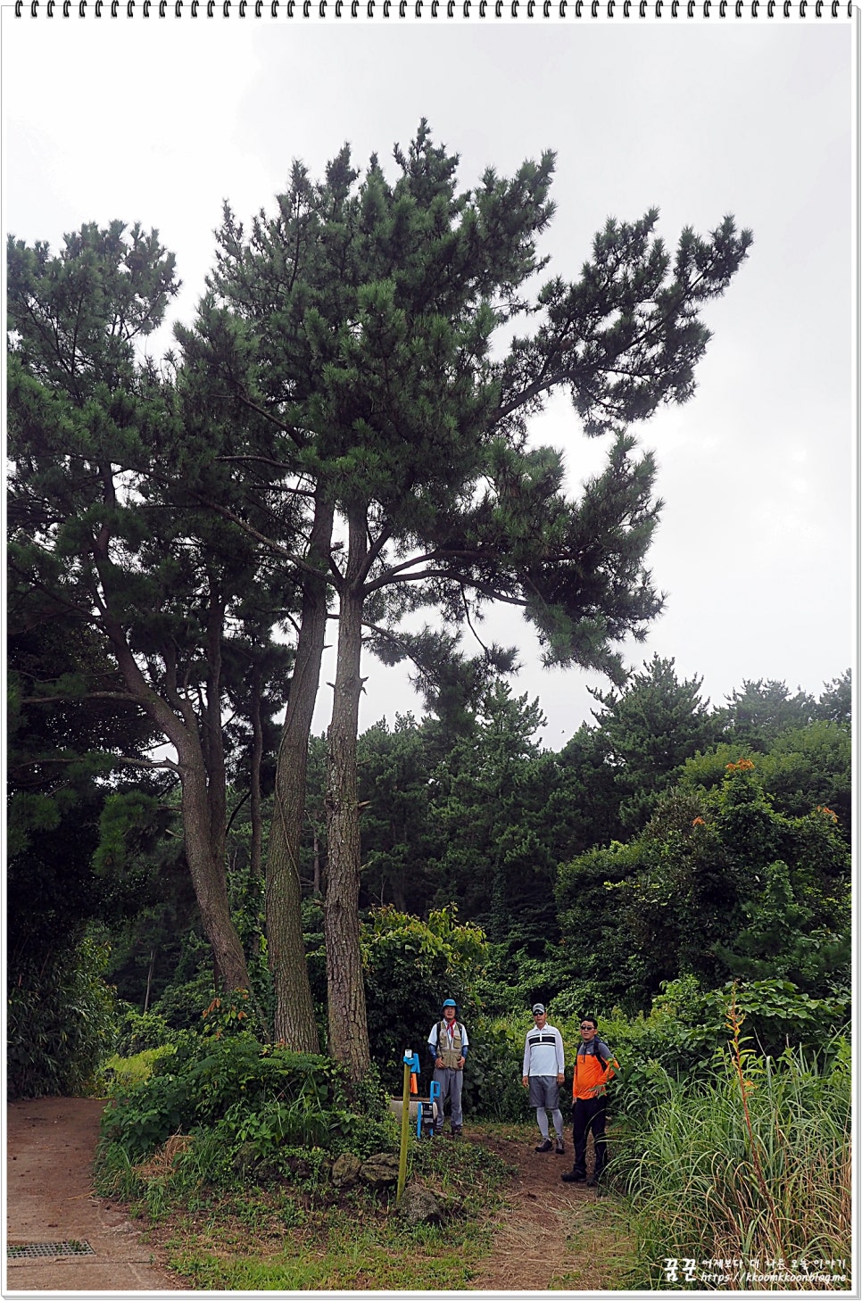 제주동마트 이미지