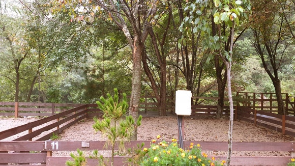 반디하우스캠핑장 이미지
