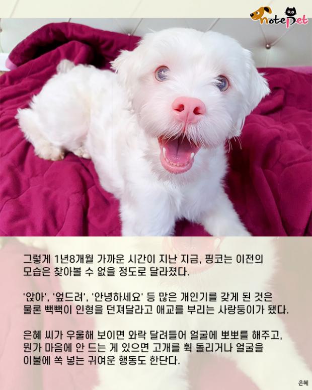미소주유소 이미지