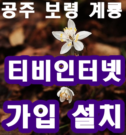 환웅전기 이미지